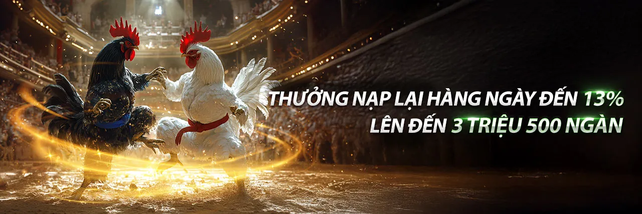 Hình ảnh giới thiệu về dn88 chính thức
